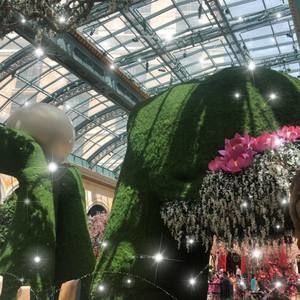 Meet your Posher, Sour